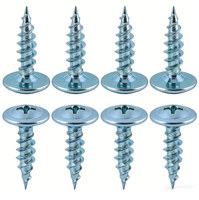 Tornillos Autorroscantes Azules y Blancos con Recubrimiento de Zinc para Techos y Vigas de Acero Ligero