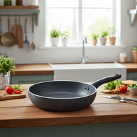 Poêle à frire moderne en aluminium antiadhésive pour cuisinière à induction 24 cm, revêtement céramique gris pierre, Performance Line 010253040124