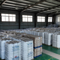 XINDA 75% Poudre de talc à haute concentration, Masterbatch plastique, Produit de qualité supérieure de Liaoning