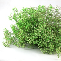 Fleurs séchées de gypsophile (Babysbreath) longue durée, directement de l'usine, pour bouquets de mariage et décoration de fêtes à domicile