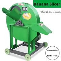 Broyeur Électrique de Bananes et de Plantains, Déchiqueteur de Bananes, Coupe-Plantains, Machine Domestique pour Alimentation des Animaux, Petite Taille 45g, Garantie 1 An