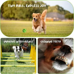 Jouets interactifs en gros pour chiens : balles de nettoyage dentaire personnalisables, jouets à mâcher pour animaux de compagnie en caoutchouc naturel non toxique, peluches écologiques - Product Image 5