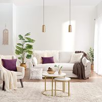 Housse de coussin décorative de luxe en velours à points carrés avec motif texturé en peluche pour coussin de soutien dorsal, couleur prune