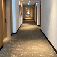Tapis de hall d'hôtel moderne de luxe 5 étoiles, tissé Axminster avec 80% de laine, 20% de nylon, antidérapant, écologique