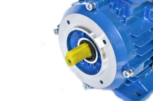 Motor de Inducción Trifásico Pequeño Serie IE1/Y2 de 1/4 de Corriente Alterna y 1500 rpm - Product Image 4