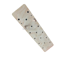 Planche d'escalade murale en bois professionnelle avec logo personnalisé, équipement de sport et de fitness de haute qualité, vente chaude