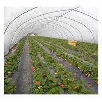 Thermique agricole en plastique de haute résistance de m, serre verte, tomate, pour vente