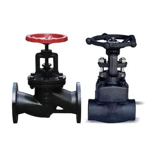 OEM Good Quality and reasonable price China Factory Forged Steel Cast Iron Thread Globe Valve customized