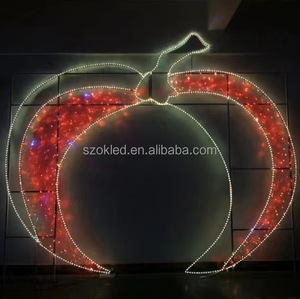 Parc à thème commercial extérieur spectacle de chasse d'halloween accessoires led de sorcière 2d citrouille éclairée personnaliser motif lumière - Product Image 4