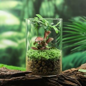 Decoración realista de mesa de té con musgo para sala de estar, estudio interior, adorno de escritorio, fácil de mantener como planta verde, pequeño regalo de cristal - Product Image 2