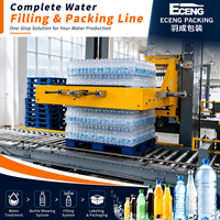 Ligne de production d'eau potable haute capacité, usine de traitement d'eau pure, équipement pour eau minérale pour usine d'eau en bouteille