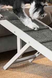 JUNJI moderna in legno Pet rampa per i signori e labrador mobili in stile Board con modello elegante - Product Image 4