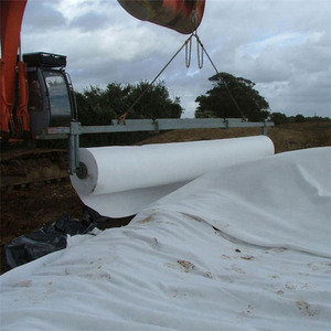 Pas cher Non Tissé Filtration <span class=keywords><strong>Géotextile</strong></span> Tissu PET Filament <span class=keywords><strong>Géotextile</strong></span> 250g/<span class=keywords><strong>m2</strong></span> pour l'Agriculture et la Route - Product Image 2