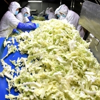 Machine de remplissage de légumes marinés LWT Ligne de traitement des cornichons Bouteille Chaîne de production de choucroute kraut Équipement d'emballage