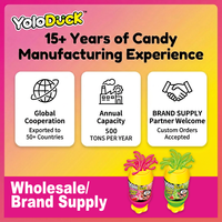 Yoloduck Halal Bonbons Liquides Sucrés au Goût de Fruits, Forme de Cheveux, Matière Alimentaire, Bonbons Aigres Liquides
