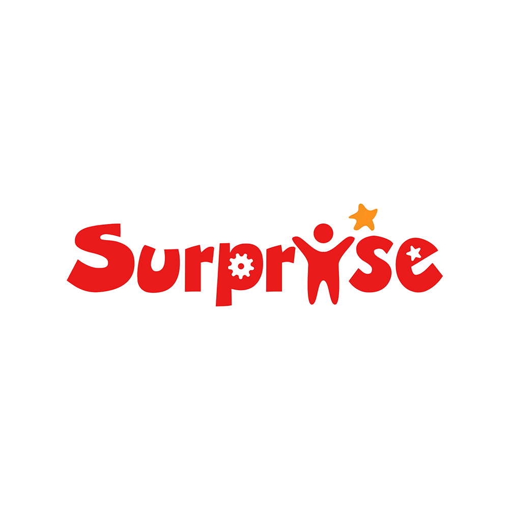 Shantou Chenghai Surprise Toy Factory (Individual Business) logo