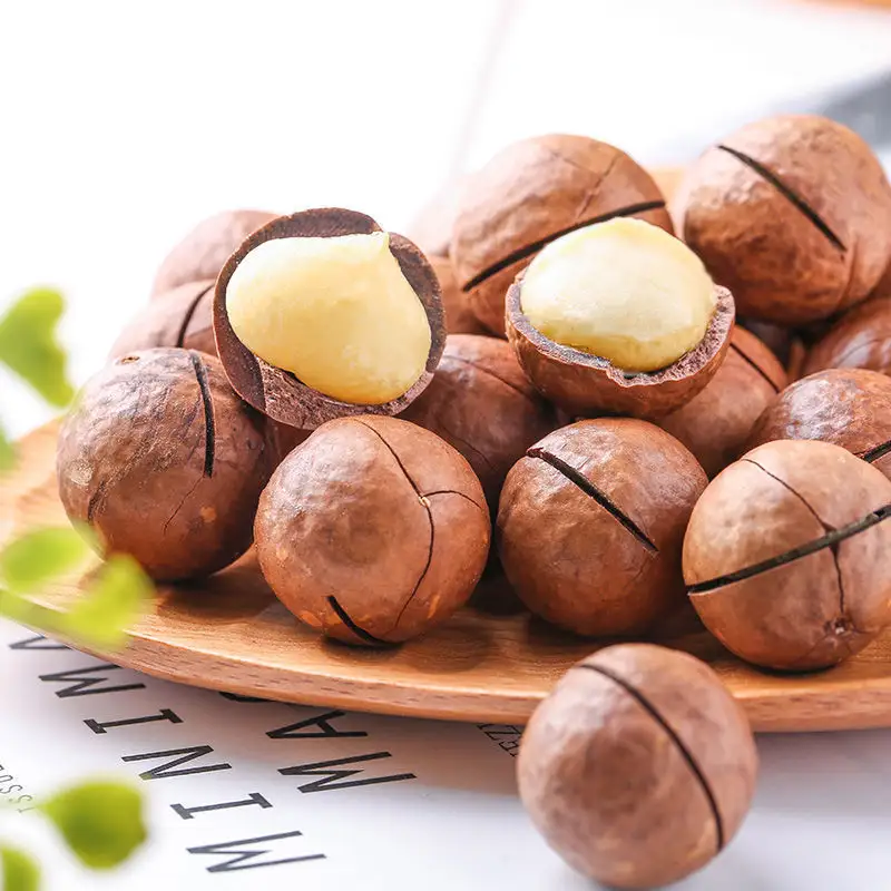 2021 bocadillos saludables nueces de Macadamia para niños cremosa en shell asado de Macadamia granos nueces tostadas