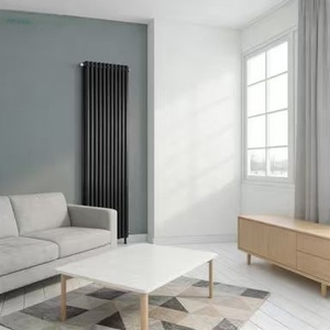 Radiatore in Acciaio Texturizzato con Sottile Goffratura Superficiale, Design Moderno da Parete <span class=keywords><strong>per</strong></span> Interni di Lusso, Uso in Ospedali e Palestre - Product Image 5