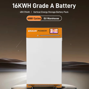 Batería de Litio Powerwall 15kWh 16kWh 48V 51.2V 200Ah 300Ah Buen Precio Almacenamiento de Energía Doméstica Batería de Litio Ferrofosfato BL-VM- - Product Image 1