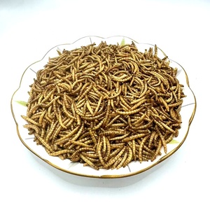 Commercio all'ingrosso biologico ad alto contenuto proteico secchi di vermi della farina per gli uccelli - Product Image 3