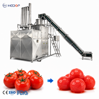 Industriële stoomschilmachine op maat gemaakt van 304 roestvrij staal voor het schillen van aardappelen, wortelen en tomaten