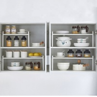 Nouvel Organisateur de Tiroir Extensible en Métal à 1 Niveau pour Épices, Support de Rangement Coulissant Sous Étagère pour Cuisine, Vente en Gros