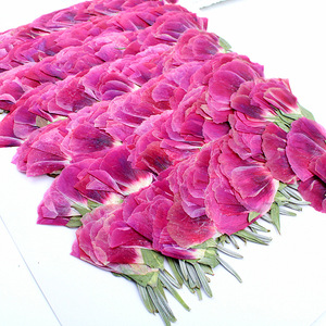 Fleurs de Godetia naturelles séchées pressées, petites et plates, de couleurs mélangées, pour maquillage de visage, nail art et artisanat en résine pour festivals - Product Image 6