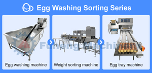 Máquina Automática de Limpieza y Clasificación de Huevos de Gallina, Tipo Cepillo, para Uso en Granjas, a <span class=keywords><strong>Precio</strong></span> Accesible - Product Image 6