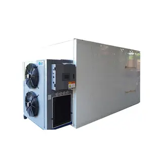 Machine professionnelle de séchage, équipement de séchage de produits agricoles, sèche-oignon - Product Image 5