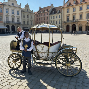 Chariot de mariage électrique Cendrillon avec de magnifiques lumières, fabricants de calèches royales - Product Image 3