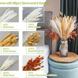 55cm fait à la main artificielle Rose roseau pampa herbe frais INS vent Simulation <span class=keywords><strong>fleur</strong></span> pour la maison mariage décor belle <span class=keywords><strong>fleur</strong></span> - Product Image 3