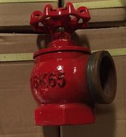Bouche d'incendie en fonte robuste de 2.5 ", filetage mâle/femelle pour systèmes d'alimentation en eau