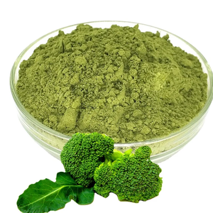 Produttore fornitura di qualità Broccoli germoglio in polvere di Broccoli in polvere - Product Image 1