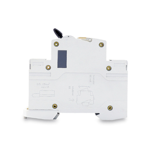 <span class=keywords><strong>Disjoncteur</strong></span> MCB pas cher 2 phases <span class=keywords><strong>16A</strong></span> Usine de Wenzhou <span class=keywords><strong>Disjoncteur</strong></span> avec voyant lumineux LED - Product Image 5