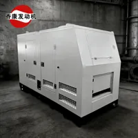 Leroy Somer 1800 U/min Wassergekühlter Dieselgenerator mit Autostart ATS 12V/24V DC Elektrostart Niedrigöl-Schutz 100% Effizienz