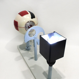 Modèle agrandi d'un simulateur d'imagerie oculaire ; Simulateur du principe de l'imagerie oculaire ; Expérience de biologie pour collégiens - Product Image 4