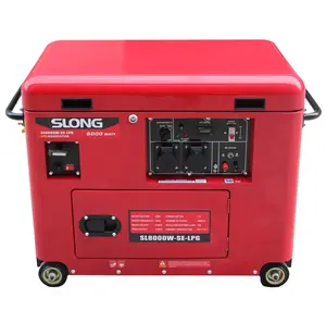 E.SLONG Erdgas-oder LP-Gasgenerator