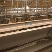 Élevage de volaille de Type H 3 niveaux, 4 niveaux, couche d'œufs, nouveau Design moderne, Cage de batterie de poulet