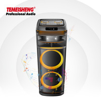 Module d'amplificateur de sonorisation actif rechargeable Temeisheng 300W avec prise en charge de carte mémoire, woofer et lumière disco RVB clignotante