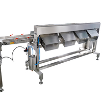 Fabriekslevering Hoge Snelheid Precisie Weging Fruit Sorteermachine Gewicht Sorteerder Afzonderlijk Meervoudig Niveaugewicht