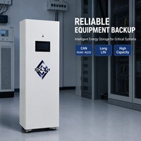 Armoire de stockage d'énergie mobile LiFePO4 avec roues 51,2V 420Ah pour stockage solaire hors réseau