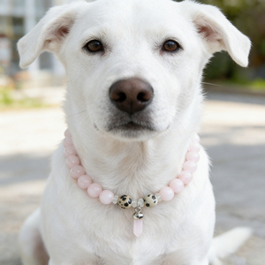 2026 <b>Dog</b> Healing Crystal Necklace pet Decorative necklace Sparkling Crystal Pet Natural <b>Beads</b> Pet Neck <b>Collar</b> Accessory - Product Image 4