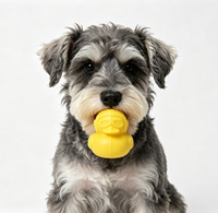 Jouet à mâcher pour chien en EVA durable, distributeur de friandises, jouet interactif pour nettoyer les dents, jouet pour chien de petite et moyenne taille, résistant aux morsures, jouet pour animaux de compagnie