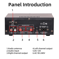Amplificateurs de puissance domestiques AK-45, 2 canaux, son surround, FM, USB, télécommande, mini amplificateur numérique HiFi