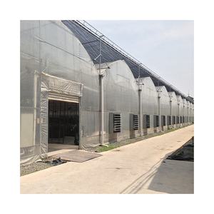 <span class=keywords><strong>Serre</strong></span> de culture en plastique, économique, pour véranda de fleurs ou de légumes, économique - Product Image 1