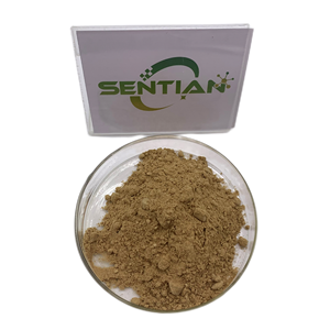 Poudre de <span class=keywords><strong>Toona</strong></span> <span class=keywords><strong>Sinensis</strong></span>, extrait de feuilles de <span class=keywords><strong>Toona</strong></span> <span class=keywords><strong>Sinensis</strong></span> - Product Image 2