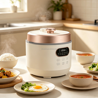 Cuisinière électrique à pression de grande capacité 6L, cuve intérieure en acier inoxydable 304, double tension 110V 220V, multicuiseur 12-en-1, OEM