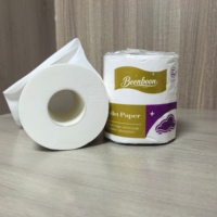 Papier toilette en rouleaux, papier toilette doux, écologique, certifié OEM, personnalisé, bon marché, 2 plis, pâte de bois vierge