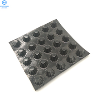 Toit et toit de garage de sous-sol verdissement HDPE concave-convexe membrane étanche isolation dragage panneau de drainage