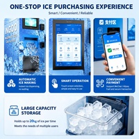 Distributeur automatique de glace en cubes, machine à glace intelligente avec paiement intelligent, machine de vente de glace en libre-service, usage commercial